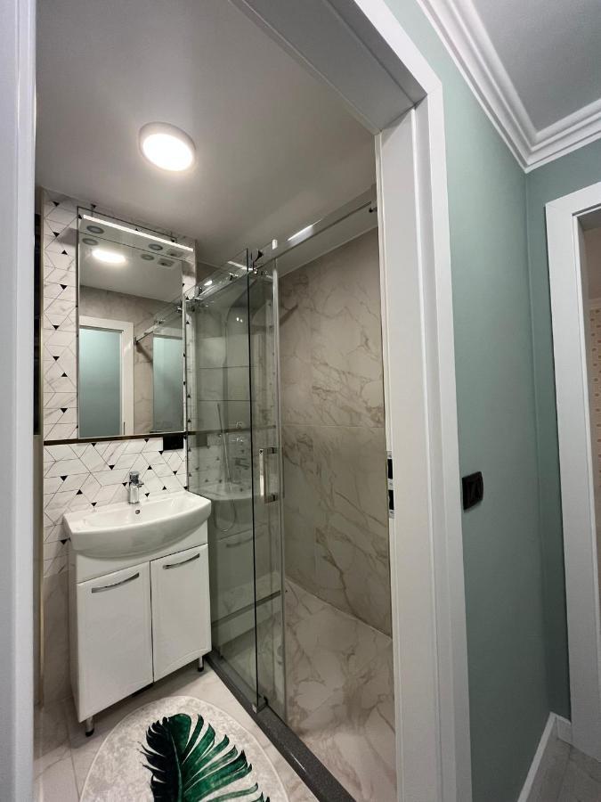 Ely Apartaments Borşa エクステリア 写真