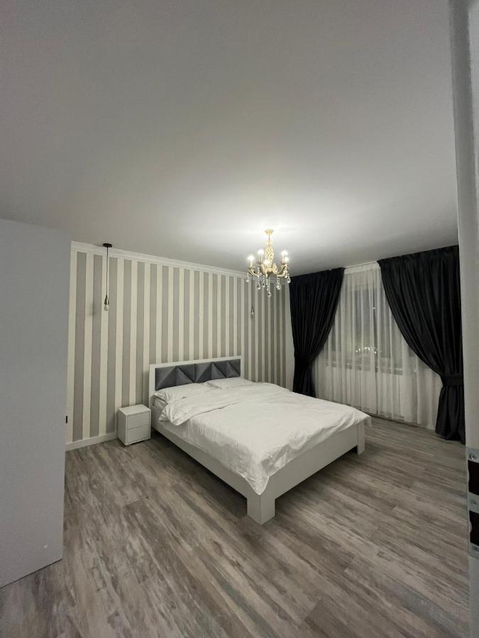 Ely Apartaments Borşa エクステリア 写真